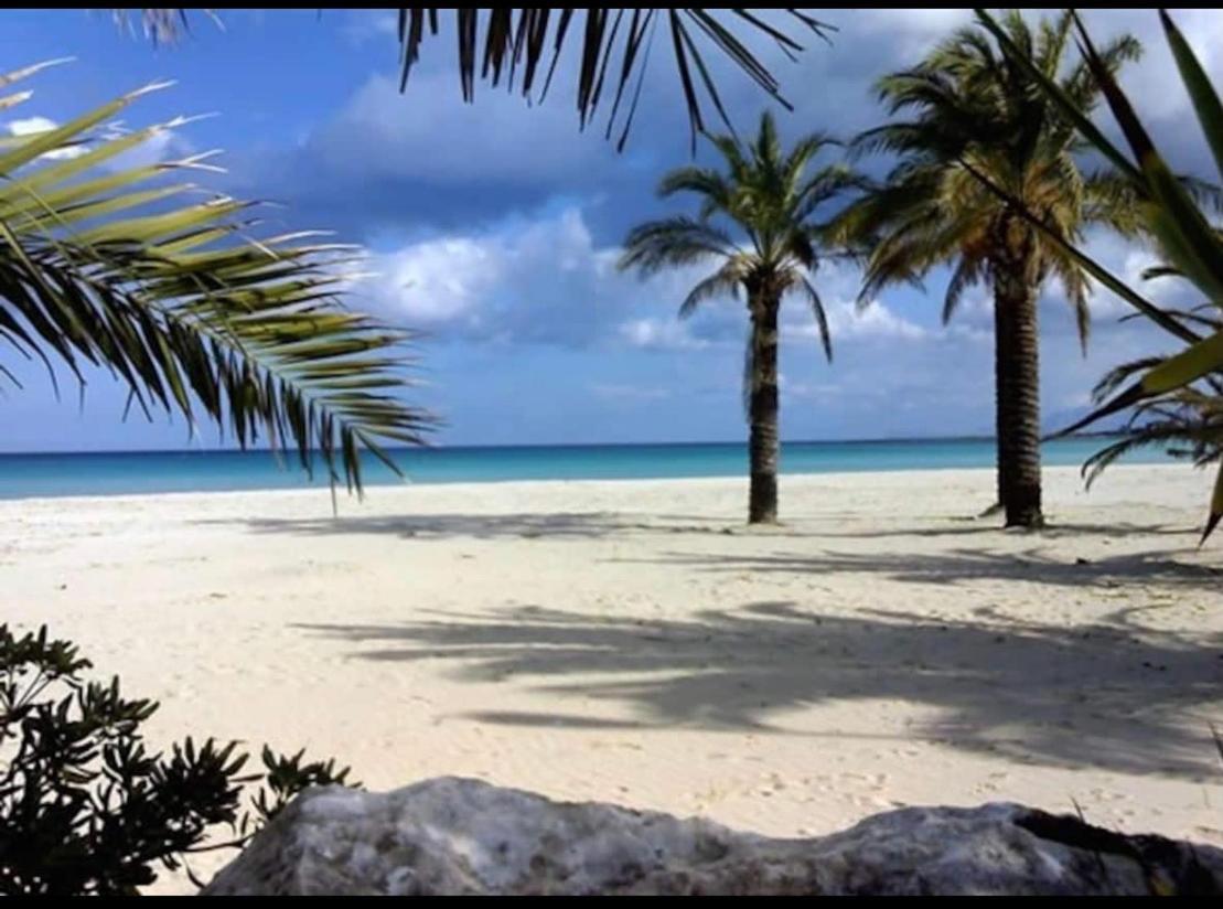 Casa Marietta Leilighet San Vito Lo Capo Eksteriør bilde